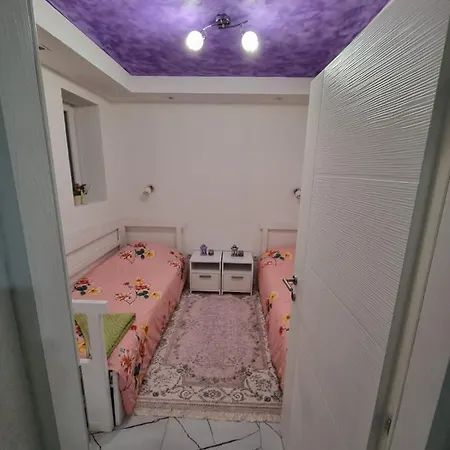 아파트 Apartman Alma